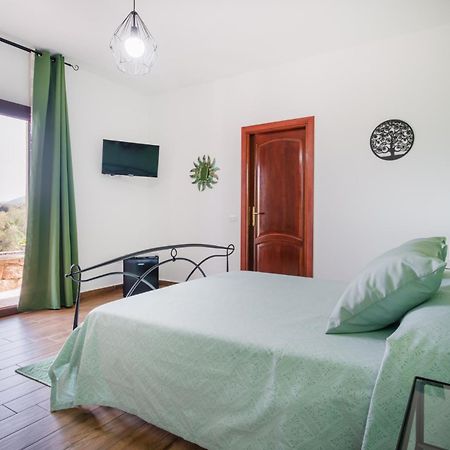 Istellas Сан-Теодоро Номер фото
